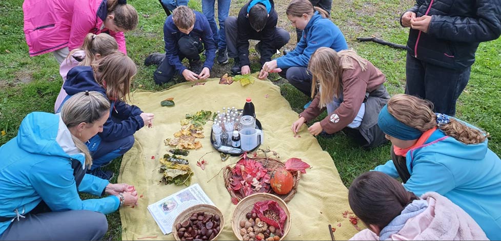 Naturdetektiv-Labor Einblicke